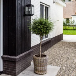 Vecht aplique de exterior con detector de movimiento