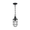Westinghouse Crestview colgante exterior, jaula